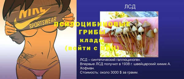 тгк Инсар