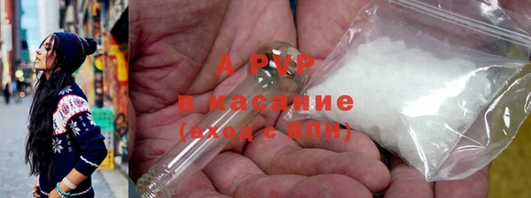 тгк Инсар