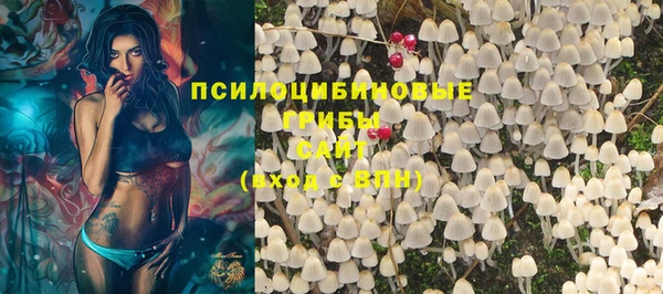 спиды Иннополис