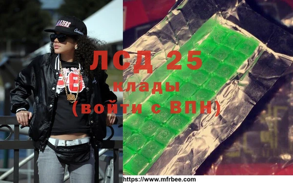 тгк Инсар