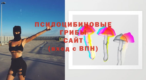 тгк Инсар