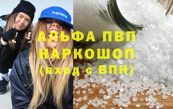 спиды Иннополис