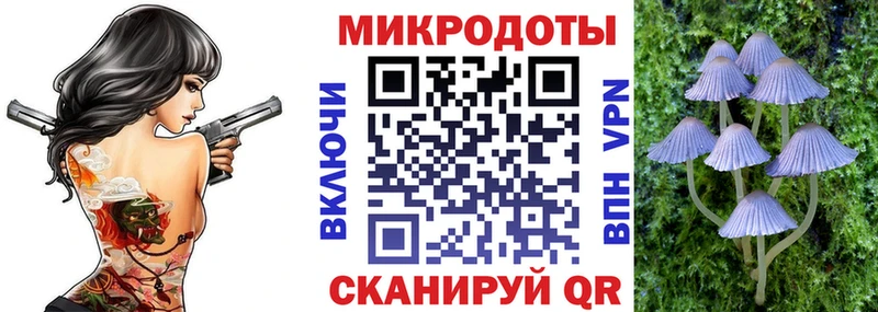 Купить закладки  Заволжье  Псилоцибиновые грибы Magic Shrooms 